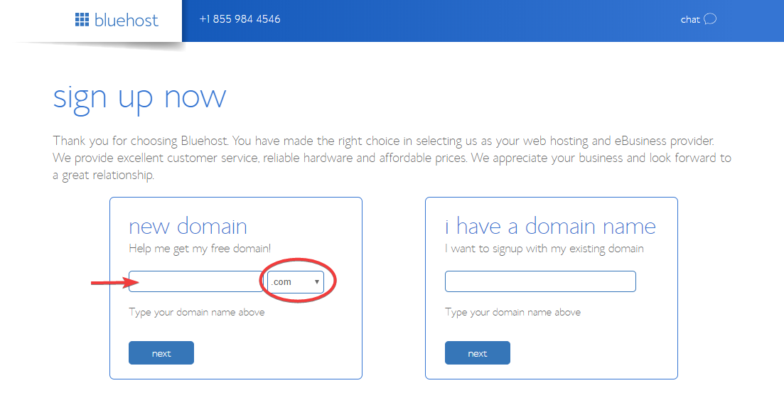 Domain name registration