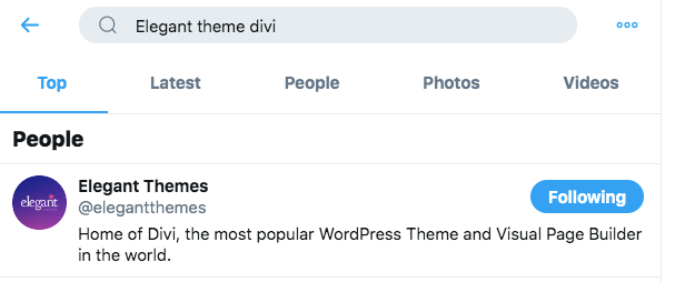 Elegant Themes Re-targeting ads