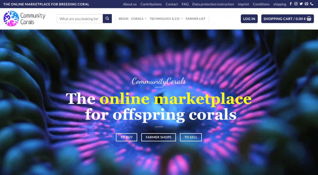success story for marketplace owner