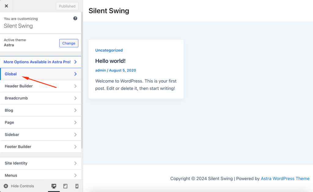 This is a screenshot of Astra theme Global