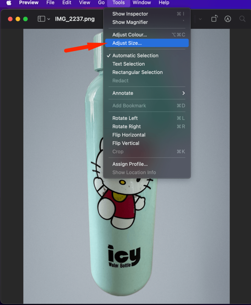 This is a screenshot of adjust size option in preview