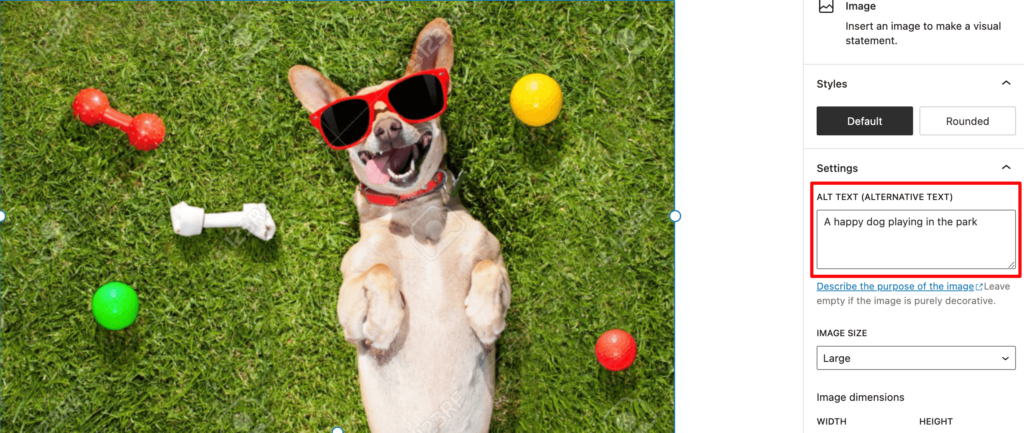 This image shows a happy dog is playing in the part